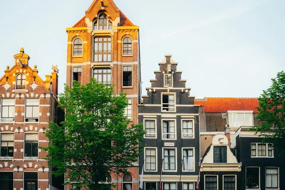 Smalle en brede grachtenpanden naast elkaar, van baksteen en donker geschilderd, met een boom ervoor